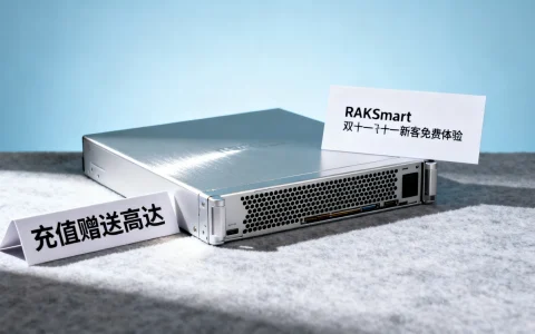 RAKSmart双十一活动，新客免费体验云服务器，充值赠送高达$250？国外VPS评测及优惠揭秘！