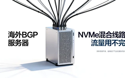 海外BGP服务器哪家好？流量用不完的NVMe混合线路怎么样？