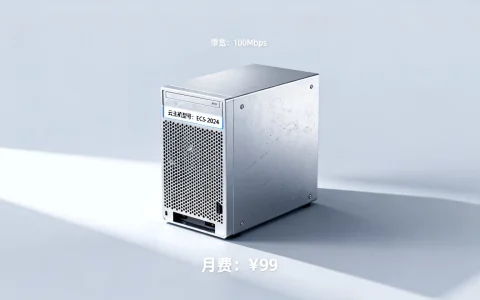 国内哪家云服务器带宽便宜 | 高性价比云主机推荐