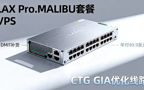 DMIT补货LAX.Pro.MALIBU套餐方案 ，年付49.9美元 CTG GIA 优化线路 – VPS评测 – 国外VPS，国外VPS商家，评测及优惠