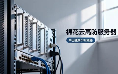 棉花云高防服务器怎么样？中山独享CN2线路哪家好？