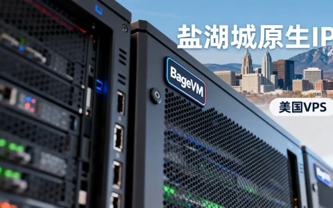 BageVM美国VPS怎么样？盐湖城原生IP好用吗？