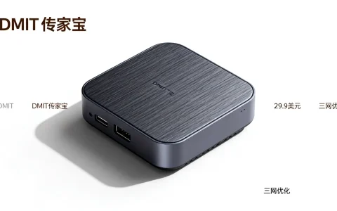 DMIT 29.9美元传家宝值得买吗，三网优化怎么样？