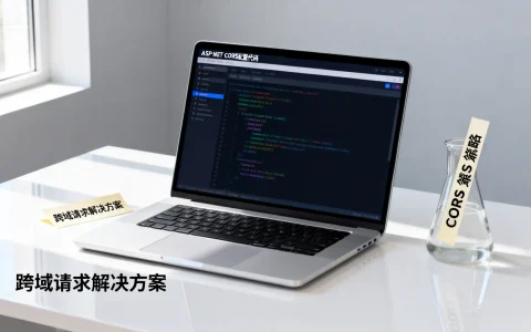 ASP.NET跨域问题如何解决？ | 百度高流量CORS配置教程