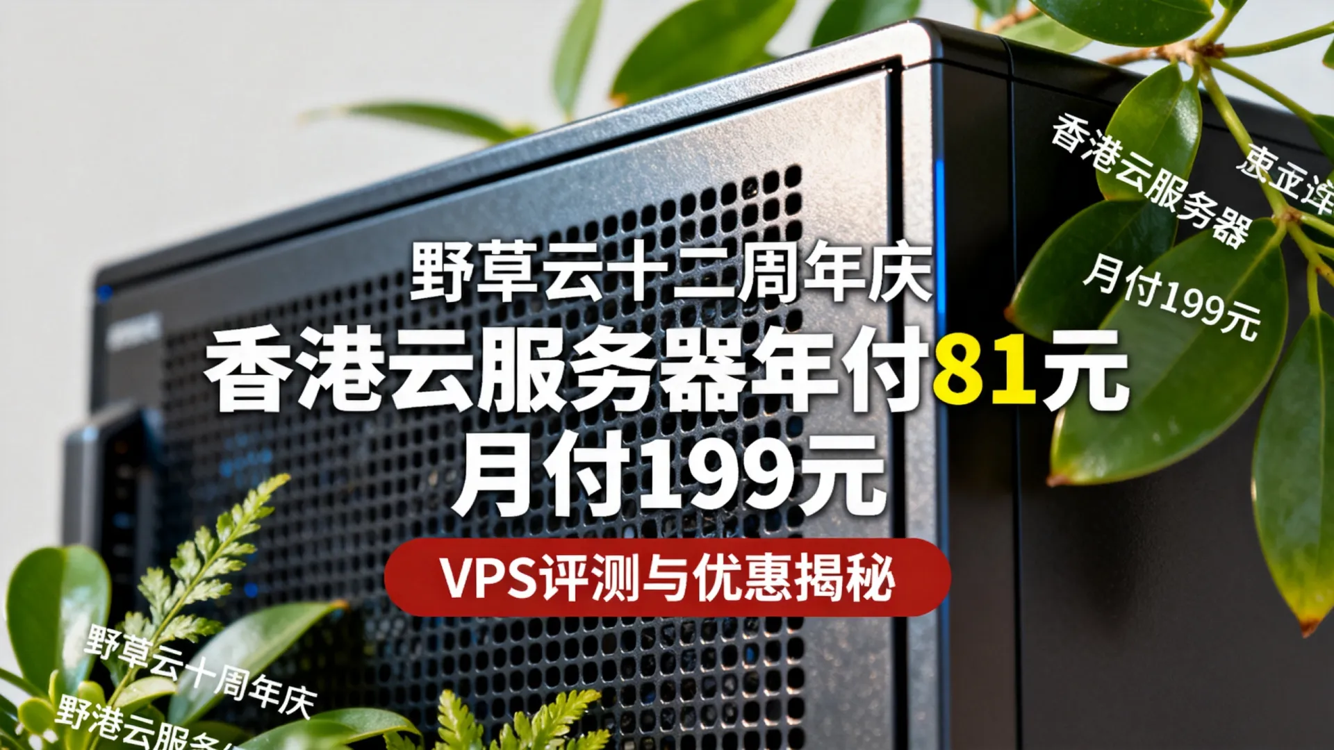 野草云十二周年 香港云服务器低至年付81元 服务器低至月付199 - VPS评测 - 国外VPS，国外VPS商家，评测及优惠