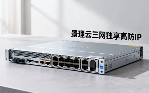 湖北襄阳高防服务器哪家好？景理云三网独享高防IP怎么样？
