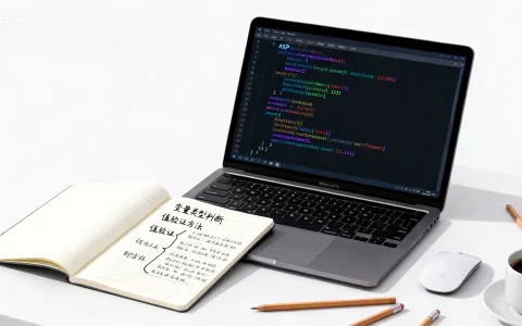 ASP中如何精确判断变量类型和值的30种高效方法？