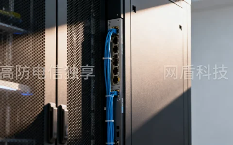 网盾科技福建福州高防电信独享怎么样？哪家好？