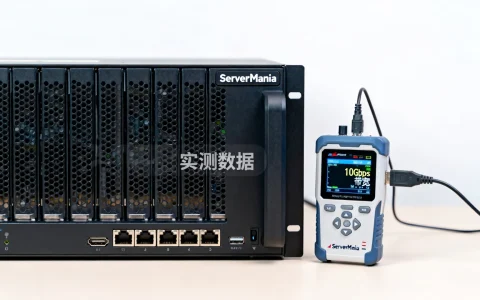 ServerMania美国10Gbps带宽升级效果如何？大流量业务支撑实测测评