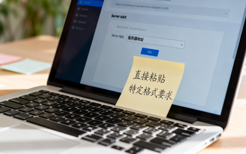 服务器地址填写方法详解，是直接粘贴还是有特定格式要求？