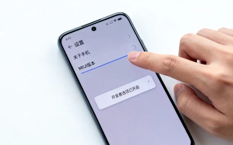 小米miui8开发者选项怎么打开，小米开发者选项在哪里找