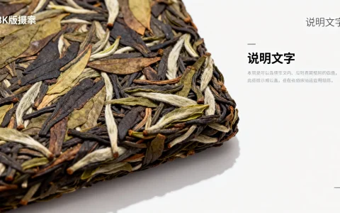 AI应用部署促销活动有哪些优惠，怎么参加最划算？