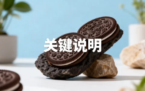 服务器支持云盘自动备份吗，服务器云盘备份怎么做