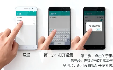 金立开发者模式怎么打开，金立手机开发者选项在哪里
