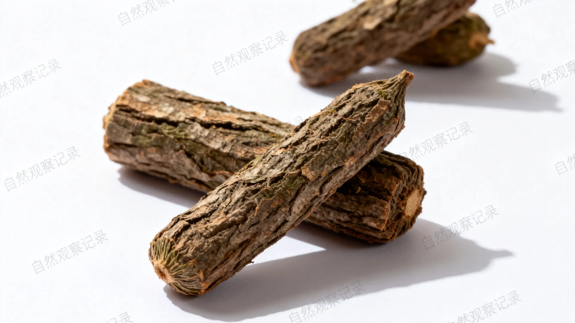 服务器最新哪个版本 服务器最新哪个版本