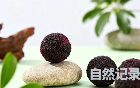 国内备案域名哪里买？如何查询域名是否已备案？