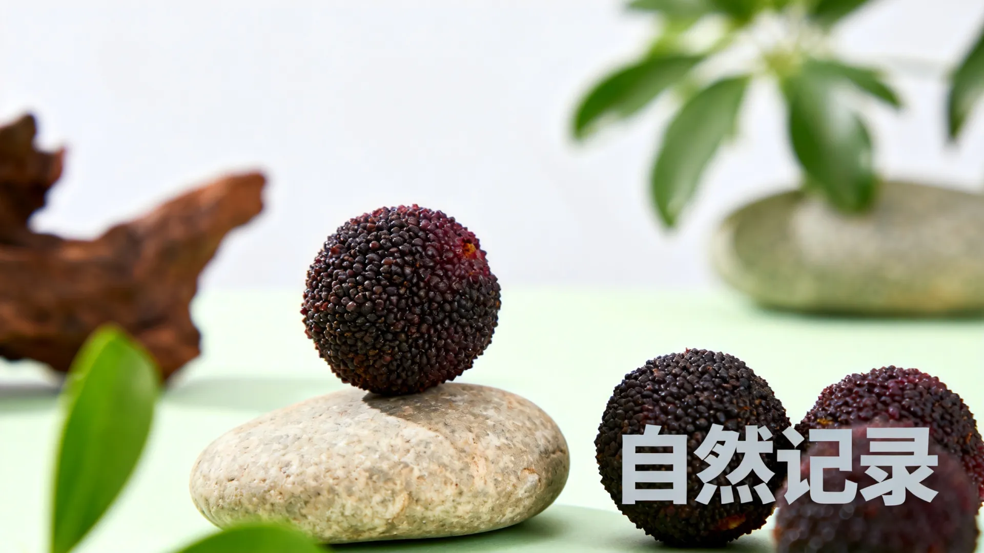 国内备案域名 国内备案域名