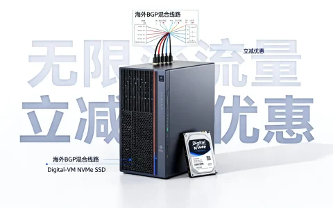 海外BGP混合线路怎么样？Digital-VM NVMe SSD无限流量立减优惠靠谱吗？