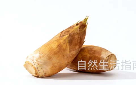 国内区块链应用现状如何，具体落地场景有哪些？
