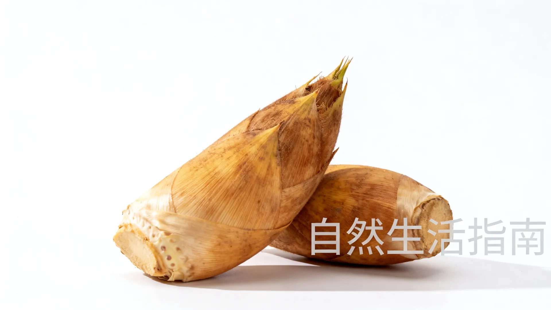 国内区块链的应用 国内区块链的应用