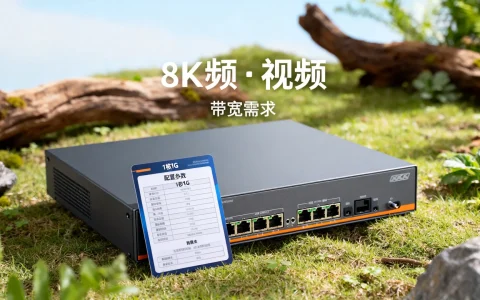 1核1G视频服务器带宽够用吗？最新版配置推荐