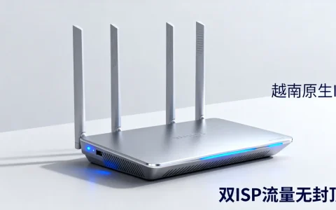 越南原生ip有什么优势？海外双ISP流量无封顶推荐