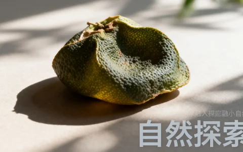 服务器机房能干啥，服务器机房是做什么的，主要用途有哪些