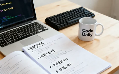开发是什么意思？零基础如何快速学会开发技术