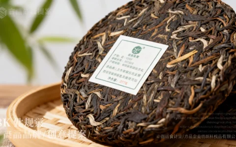 棉花云德国高防服务器怎么样，CN2线路好用吗