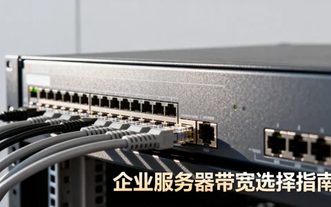 企业用服务器带宽多大合适？一般企业服务器带宽选多少兆？
