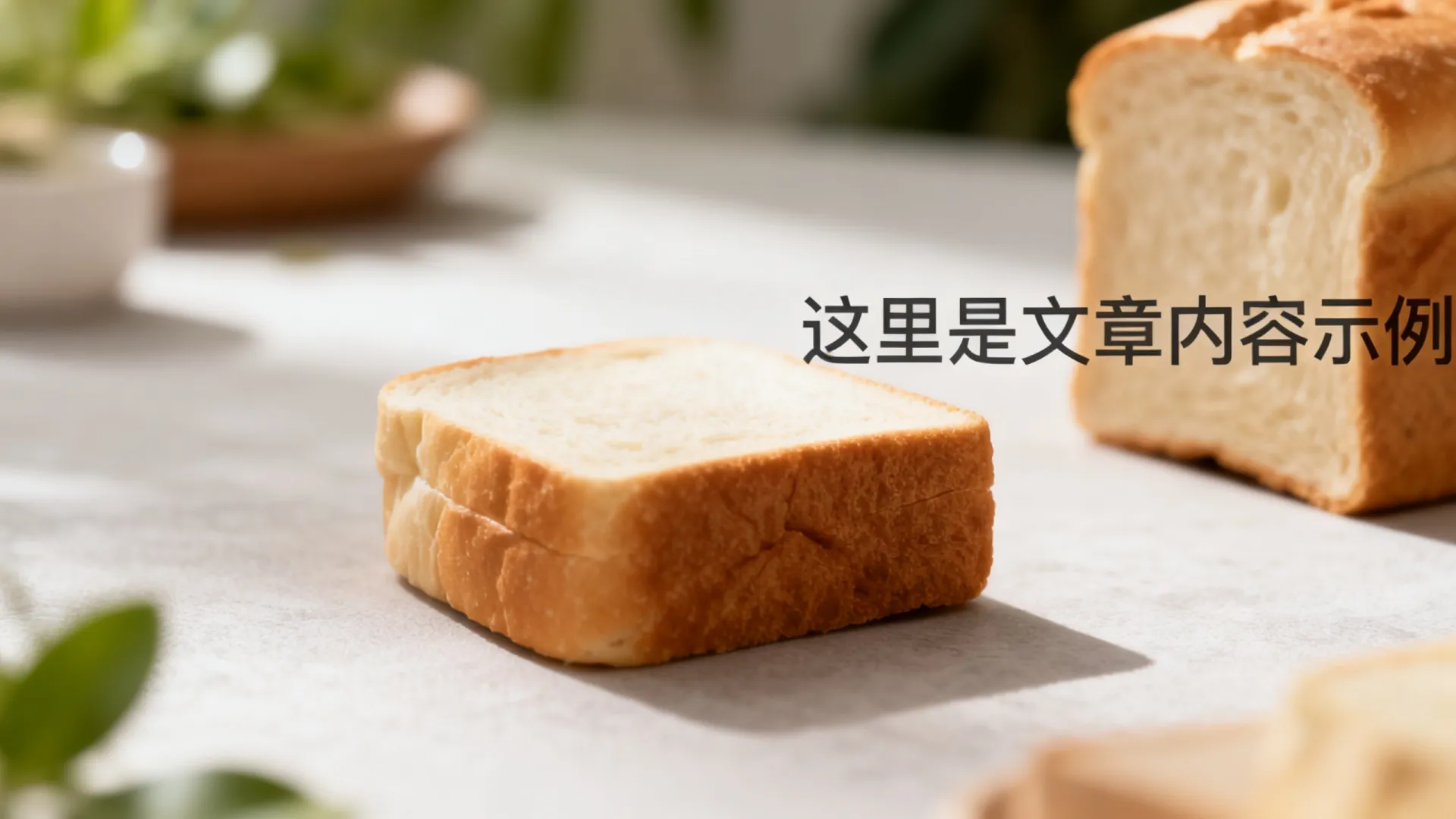 AI智能拍照系统 AI智能拍照系统