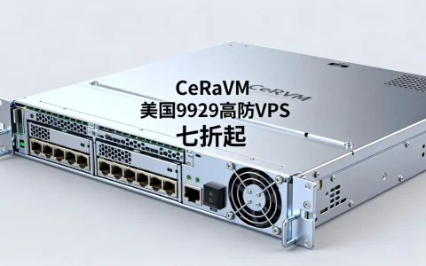 2026春季VPS促销有哪些？CeRaVM美国9929高防VPS七折起