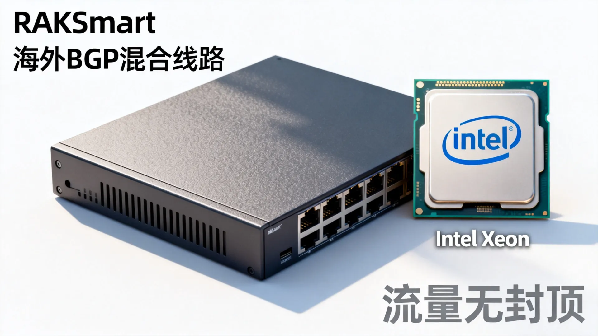2026春季 海外BGP混合线路 RAKsmart - Intel Xeon,流量无封顶,5折起 2026春季 海外BGP混合线路 RAKsmart