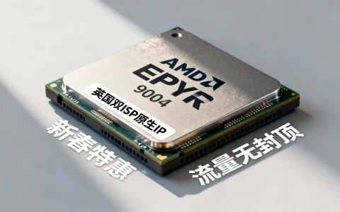 英国双ISP原生IP怎么样？新春特惠AMD EPYC 9004流量无封顶