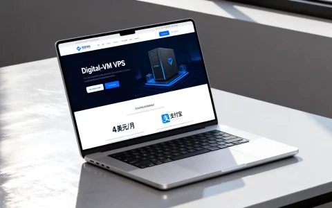 Digital-VM VPS怎么样？4美元/月支持支付宝吗？