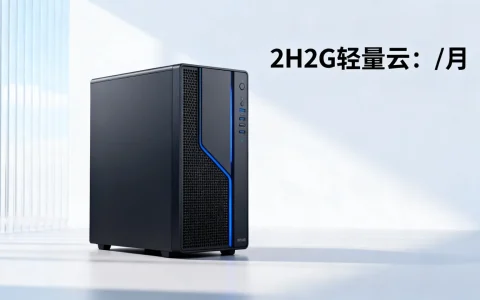 美国2H2G轻量云多少钱一个月？极点云服务器价格表