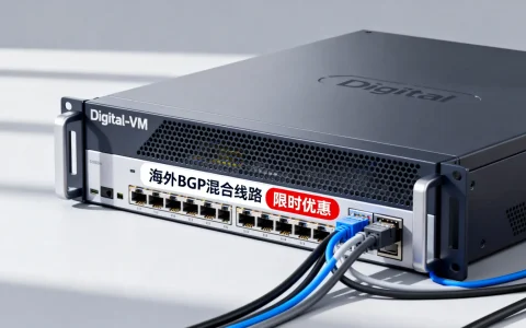 限时优惠Digital-VM怎么样？海外BGP混合线路值得买吗