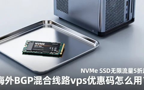 海外BGP混合线路vps优惠码怎么用？NVMe SSD无限流量5折起