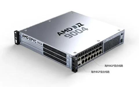 海外BGP混合线路怎么样，AMD EPYC 9004服务器推荐