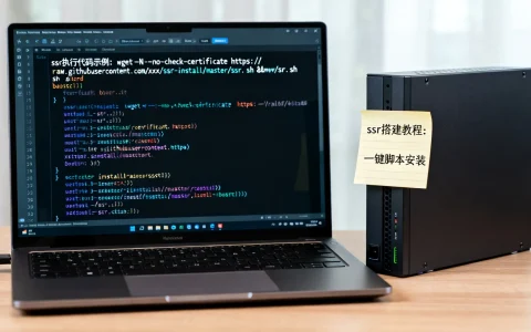 服务器搭建ssr执行代码是什么？ssr搭建教程一键脚本分享