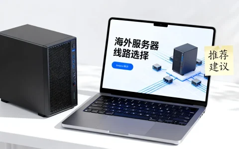 海外服务器线路怎么选？海外服务器线路选择建议与推荐