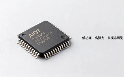 AIOT视觉芯片能力有哪些？AIOT视觉芯片性能怎么样