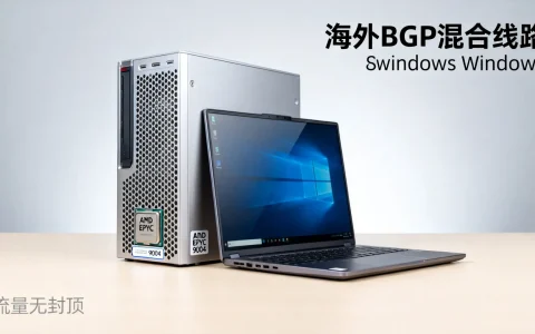 海外BGP混合线路Windows主机怎么样？AMD EPYC 9004流量无封顶