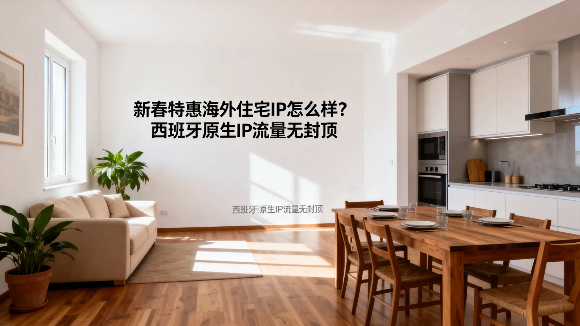 新春特惠 海外住宅IP 西班牙原生ip