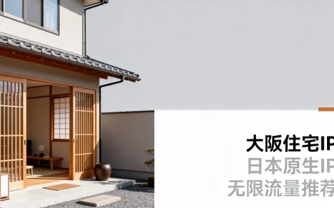 大阪住宅IP原生吗？日本原生IP无限流量推荐