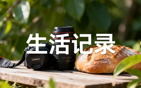 服务器域名ICP备案流程中，有哪些关键步骤和注意事项？