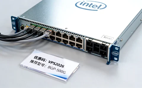 2026年海外BGP混合线路vps优惠码怎么用？Intel Xeon流量用不完的vps推荐