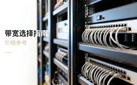 服务器托管带宽怎么选？大带宽服务器租用价格多少