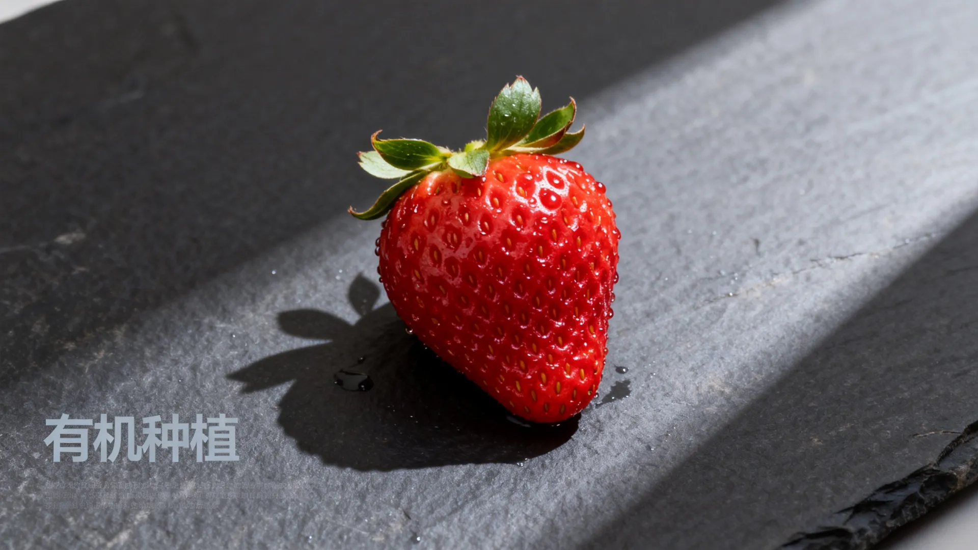 ai算法标注算法 ai算法标注算法