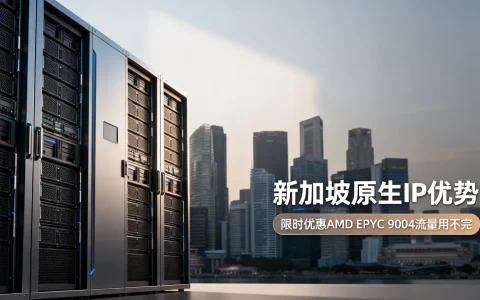 新加坡原生IP有什么优势？限时优惠AMD EPYC 9004流量用不完